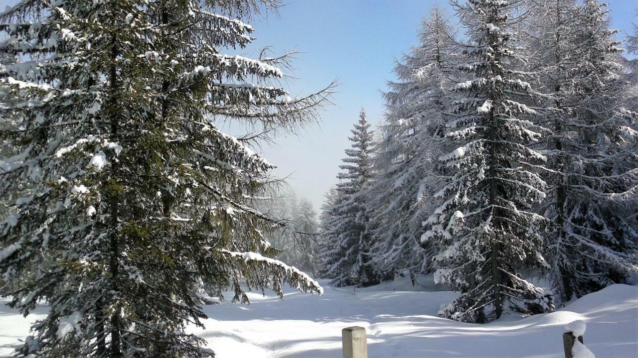 Ferienwohnung Dolomitenpanorama Oberlienz Dış mekan fotoğraf