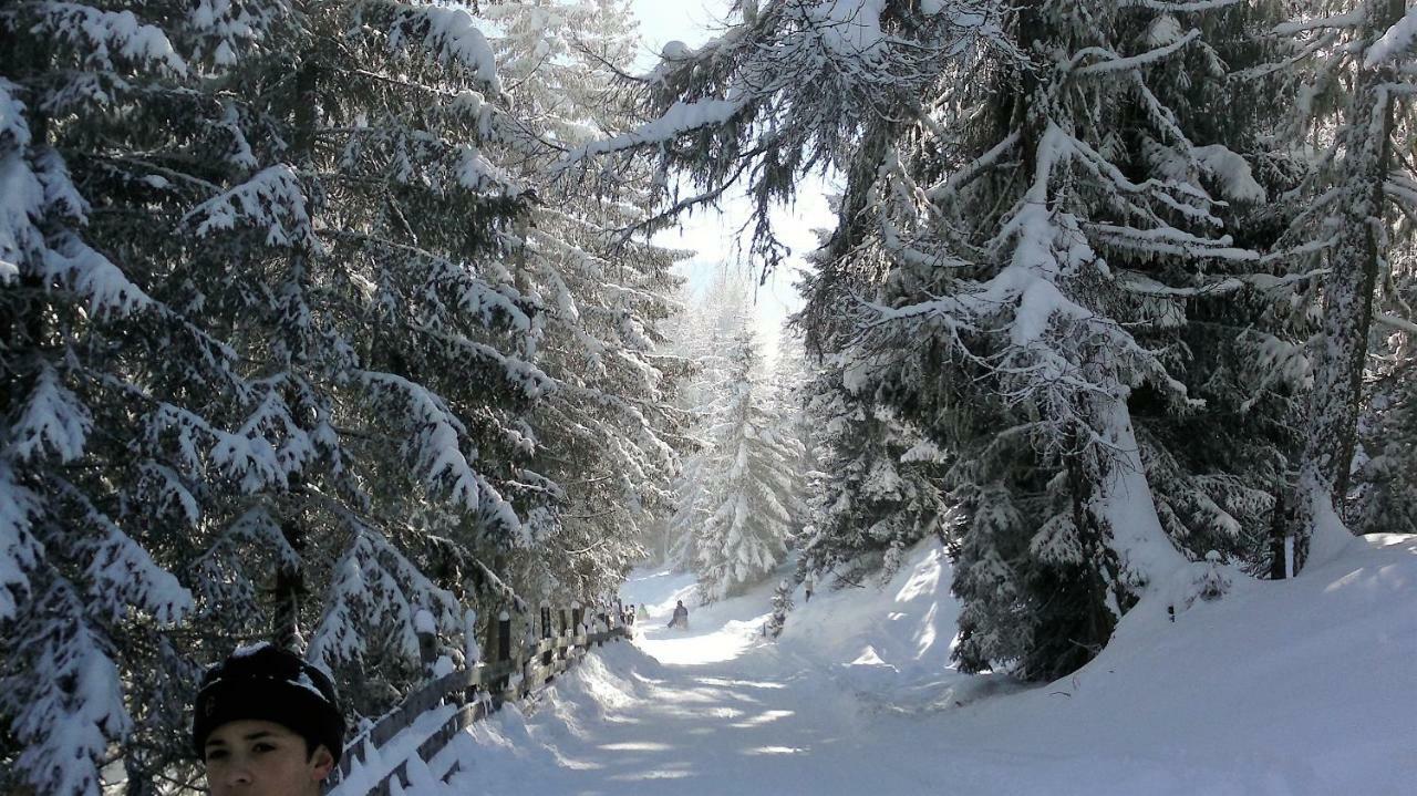 Ferienwohnung Dolomitenpanorama Oberlienz Dış mekan fotoğraf